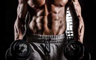 Типы фигур у женщин мужчин мезоморф эктоморф эндоморф