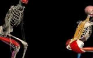 Можно ли накачать ноги приседаниями без веса? Как накачать ноги?