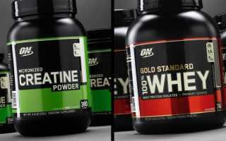 Креатин или протеин: что лучше и как принимать вместе