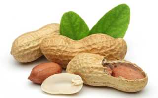 Калорийность ОРЕХИ. Химический состав и пищевая ценность.