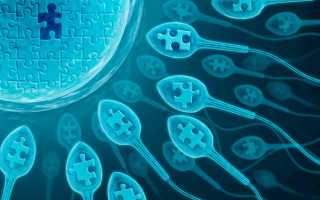 Мужское бесплодие