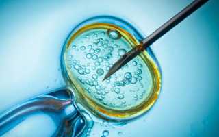 Считается ли грехом ЭКО