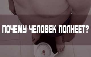 Диетолог объяснил, почему люди толстеют на самом деле