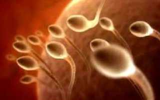 Мифы о бесплодии