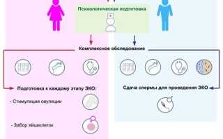 Искусственная инсеминация