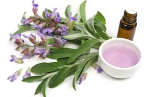 Шалфей при бесплодии