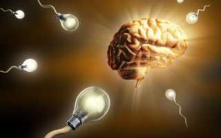 Общая характеристика познавательной сферы личности.