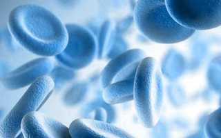 ФЕРРИТИН И БЕСПЛОДИЕ