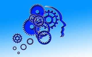 Что Такое Волюнтаризм Простыми Словами? (Примеры)