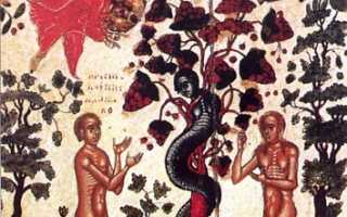 Тест: Биоэтика