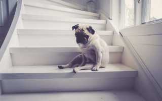 Если дома тоскливо: как справиться с хандрой после путешествия