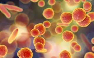 «Диагноза «уреаплазмоз» в медицине не существует». Гинеколог о том, почему не все болезни нужно лечить