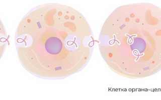 Гормональное бесплодие – помогут только гормоны?
