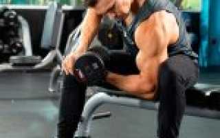 Подъемы гантелей на бицепс стоя, с супинацией в верхней точке