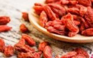 Ягода годжи — отзывы врачей. Употребление ягоды годжи. Тибетские ягоды годжи — отзывы