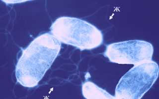 Советы будущим папам