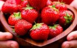 Клубника – это не ягода и не фрукт, но орех: ботаника объясняет