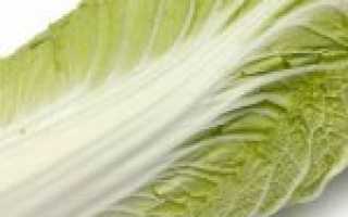 Польза пекинской капусты для похудения, диетические рецепты и калорийность