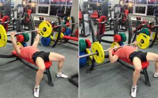 Упражнения для начинающих в тренажерном зале. Комплекс занятий в тренажерке для начинающих