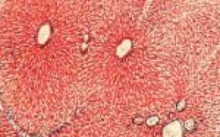 Можно ли лечить зубы при стоматите на губе