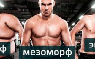 Может ли эктоморф стать мезоморфом? Тренировки и питание для набора массы