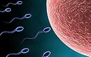 Мужское бесплодие