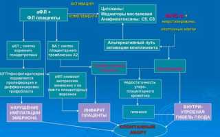 Бесплодие при антифосфолипидном синдроме